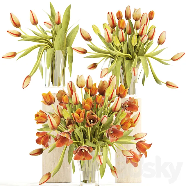 Collection of flowers 4. Tulips vase bouquet flower set decor spring flowers orange 3D Model Collection of flowers 4. Tulips vase bouquet flower set decor spring flowers orange 3D Model