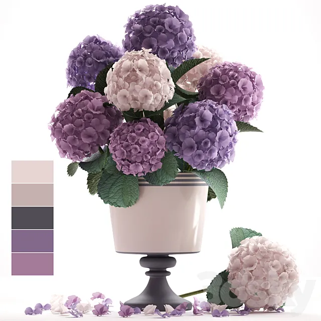 Collection of flowers 55. Hydrangea blue flowers flower vase branch 3D Model Collection of flowers 55. Hydrangea blue flowers flower vase branch 3D Model