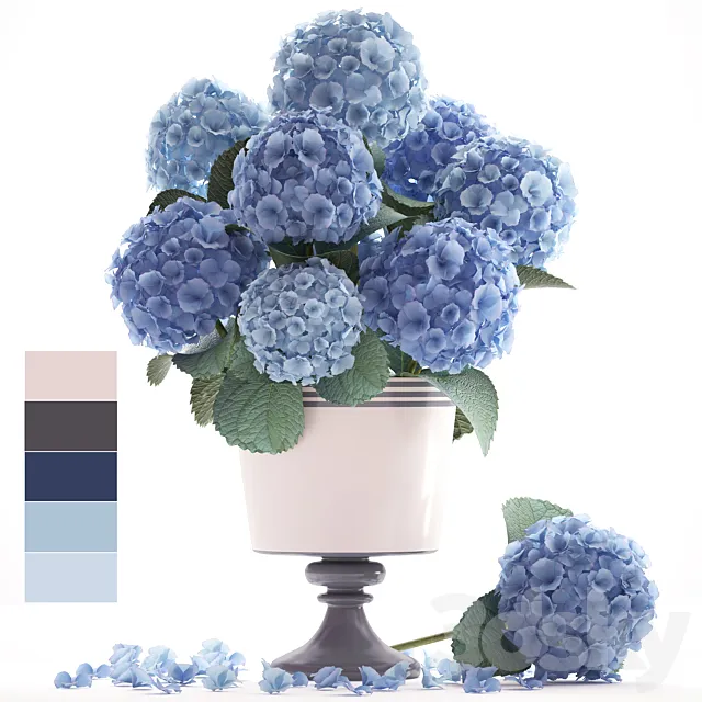 Collection of flowers 56. Hydrangea blue flowers flower vase branch 3D Model Collection of flowers 56. Hydrangea blue flowers flower vase branch 3D Model