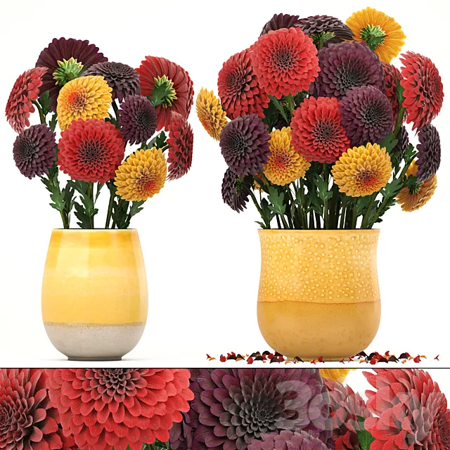Collection of flowers 8. Dahlias vase decor spring flowers 3D Model Collection of flowers 8. Dahlias vase decor spring flowers 3D Model