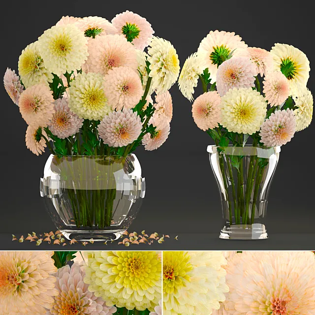Collection of flowers 9. Dahlias spring flowers vase decor white 3D Model Collection of flowers 9. Dahlias spring flowers vase decor white 3D Model