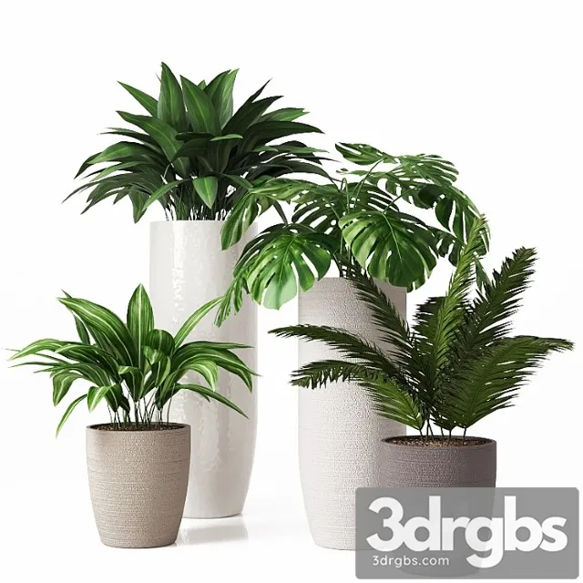 Collection of Indoor Plants 01 2 3D Model Download