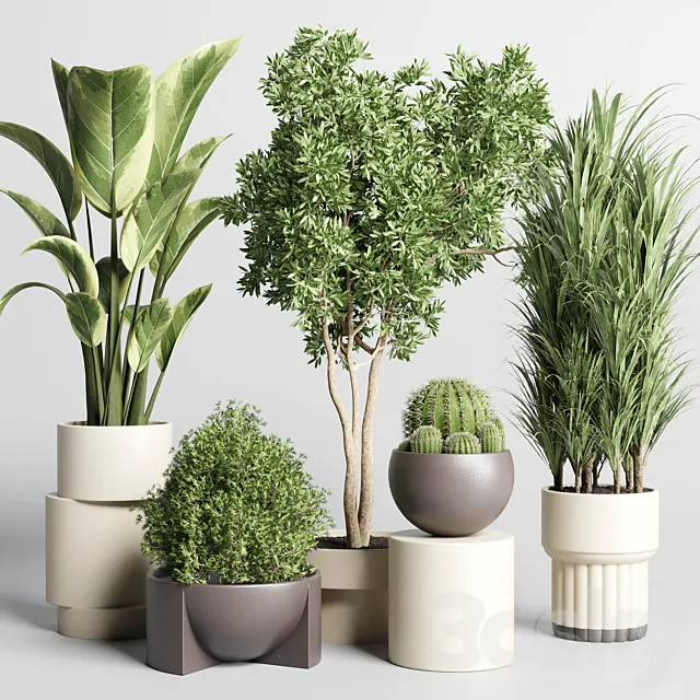 Collection of indoor plants with modern minimal pots 170 3D Model Collection of indoor plants with modern minimal pots 170 3D Model