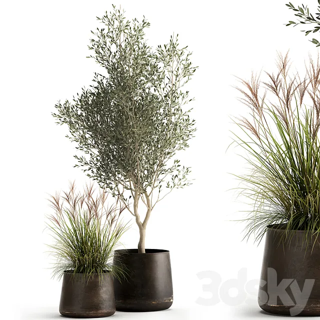 Collection of outdoor metal potted plants with olive tree bushes vine. Set 974. 3D Model Collection of outdoor metal potted plants with olive tree bushes vine. Set 974. 3D Model