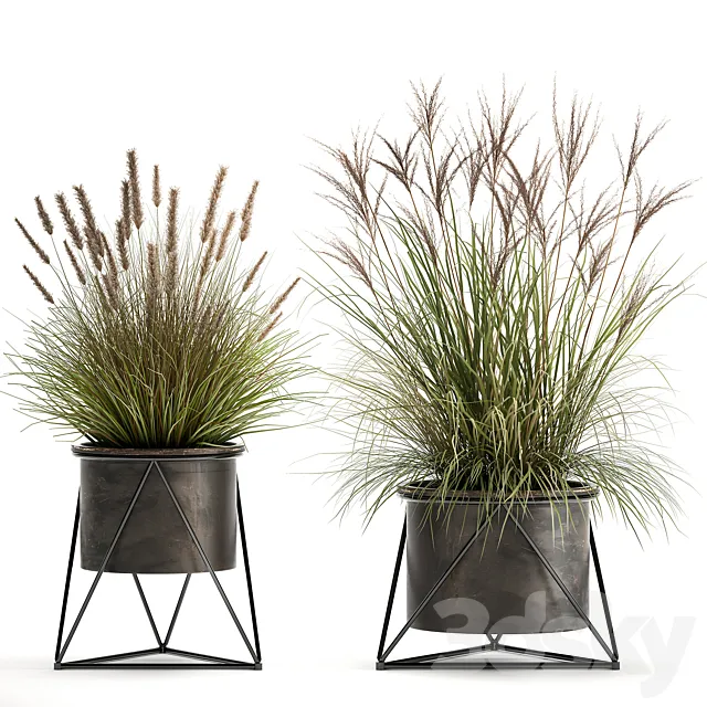 Collection of outdoor metal potted plants with Reeds. grass. bushes. weinik. Set 980. 3DModel Collection of outdoor metal potted plants with Reeds. grass. bushes. weinik. Set 980. 3DModel