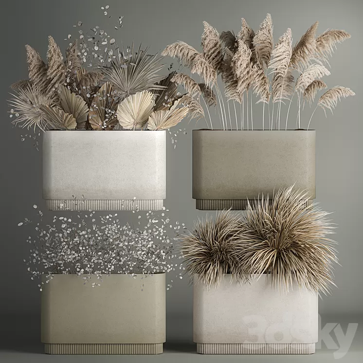 Collection of plant bouquets of dried flowers moonflower dry palm branches dry grass natural decor .1121. 3D Model Free Download Collection of plant bouquets of dried flowers moonflower dry palm branches dry grass natural decor .1121. 3D Model Free Download