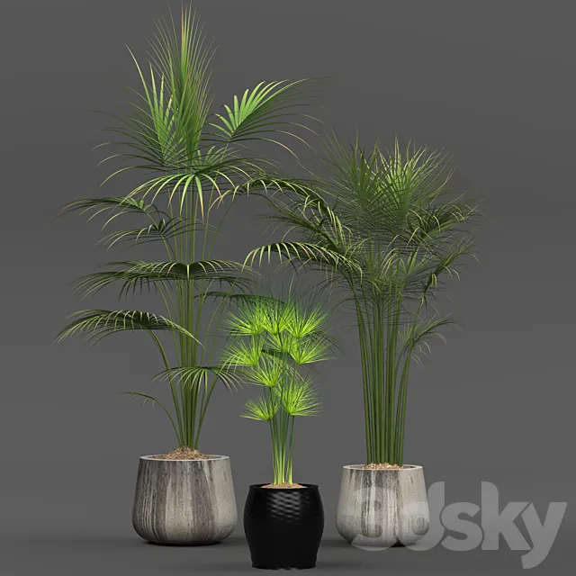 Collection of plants 01 3D Model