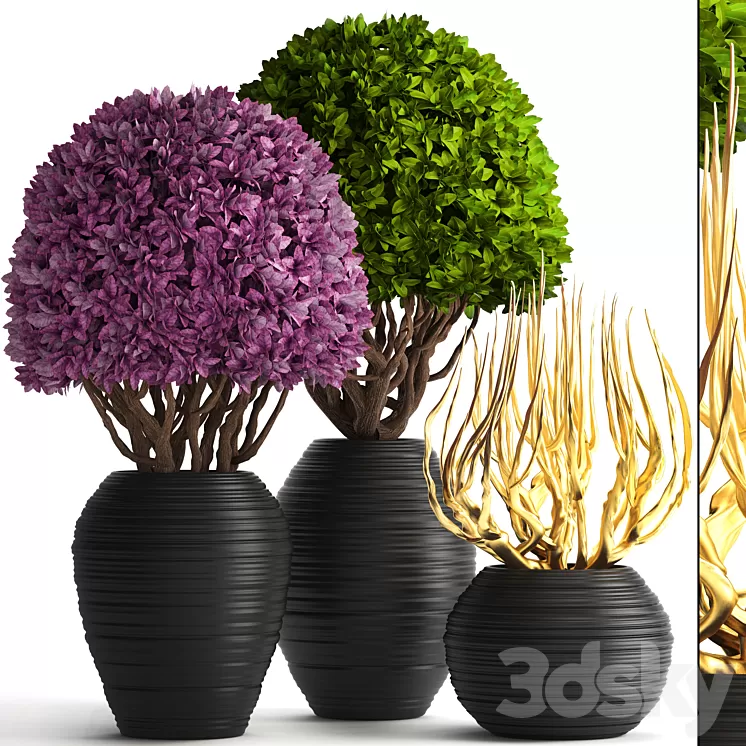 Collection of plants 129. Boxwood topiary topiary decorative vases decor golden branches 3D Model Collection of plants 129. Boxwood topiary topiary decorative vases decor golden branches 3D Model