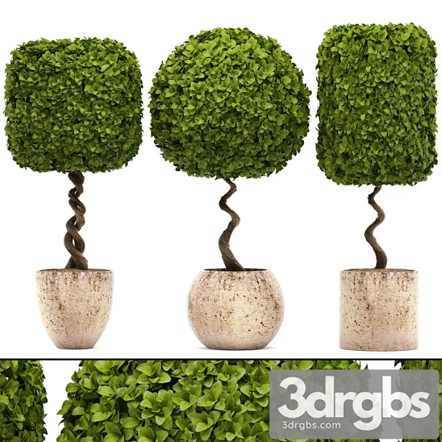 Collection of Plants 130 Garden Trees Landscape Design Flowerpot Pot Boxwood Topiary Topiary 3D Model Download