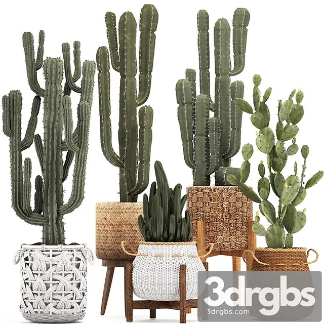 Collection of Plants 330 3D Model Download