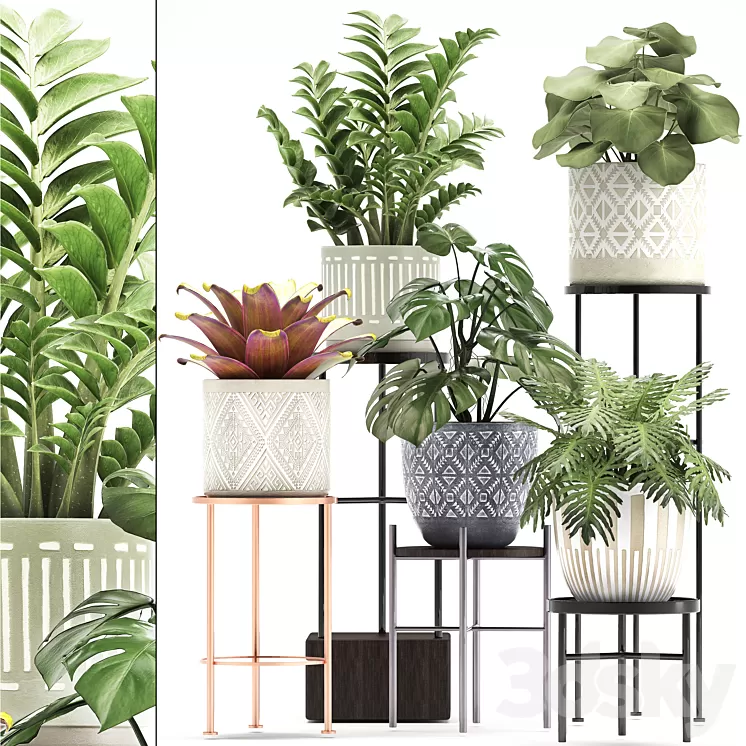 Collection of plants 333. Flower shelf stand Zamioculcas monstera Bromelia Philodendron houseplants stand Scandinavian style flower 3D Model