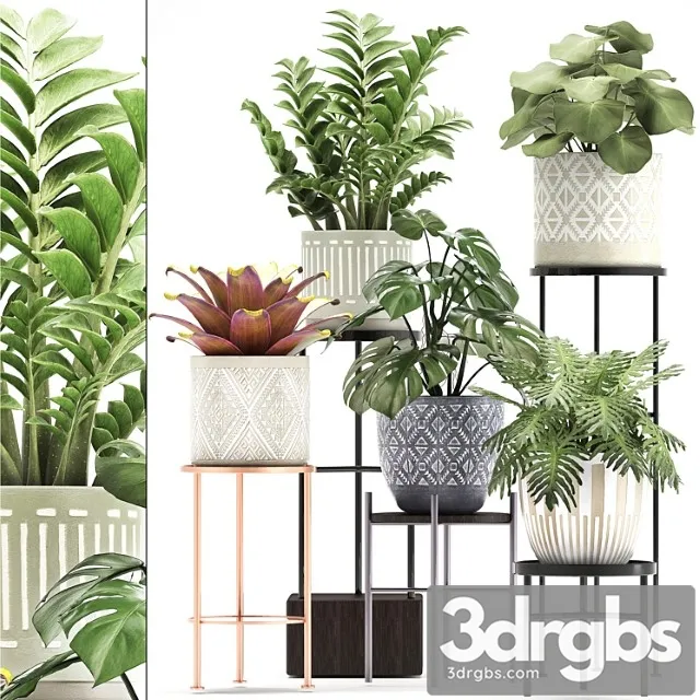 Collection of plants 333. flower shelf, stand, zamioculcas, monstera, bromelia, philodendron, houseplants, stand, scandinavian style, flower Collection of plants 333. flower shelf, stand, zamioculcas, monstera, bromelia, philodendron, houseplants, stand, scandinavian style, flower