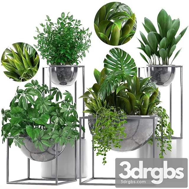 Collection of Plants 3D Model Download