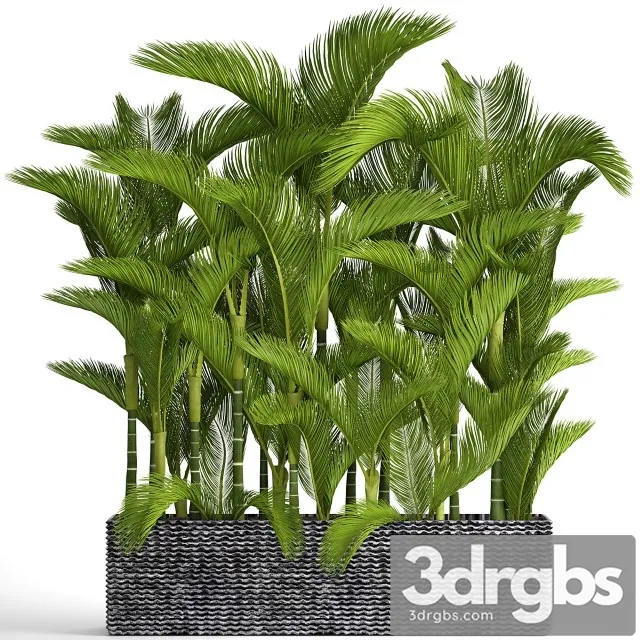 Collection Of Plants 88 3D Model Download