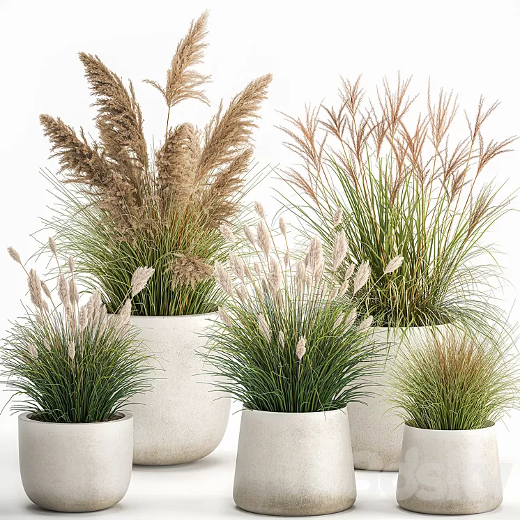 Collection of plants for landscape design in pots with reeds flowerpot ...