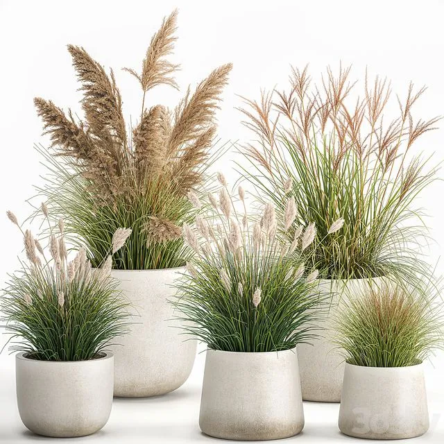 Collection of plants for landscape Set 1094 3D Model Collection of plants for landscape Set 1094 3D Model