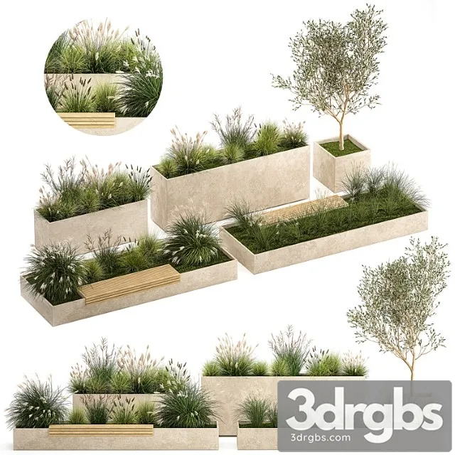 Collection of plants for the urban environment with a flower bed, a bench and concrete outdoor flowerpots, bushes and grass, miscanthus, olive tree, garden. 1141. Collection of plants for the urban environment with a flower bed, a bench and concrete outdoor flowerpots, bushes and grass, miscanthus, olive tree, garden. 1141.