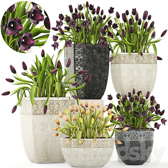 Collection of plants garden tulips 195. Flowers pot flowerpot tulip flowerbed landscaping garden 3D Model Collection of plants garden tulips 195. Flowers pot flowerpot tulip flowerbed landscaping garden 3D Model