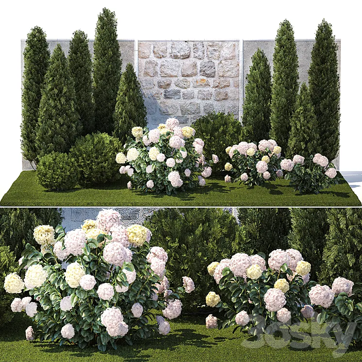Collection of plants garden with bushes and trees for landscape design with thuja cypress flowering Hydrangea white. Set 1378. 3D Model Free Download
