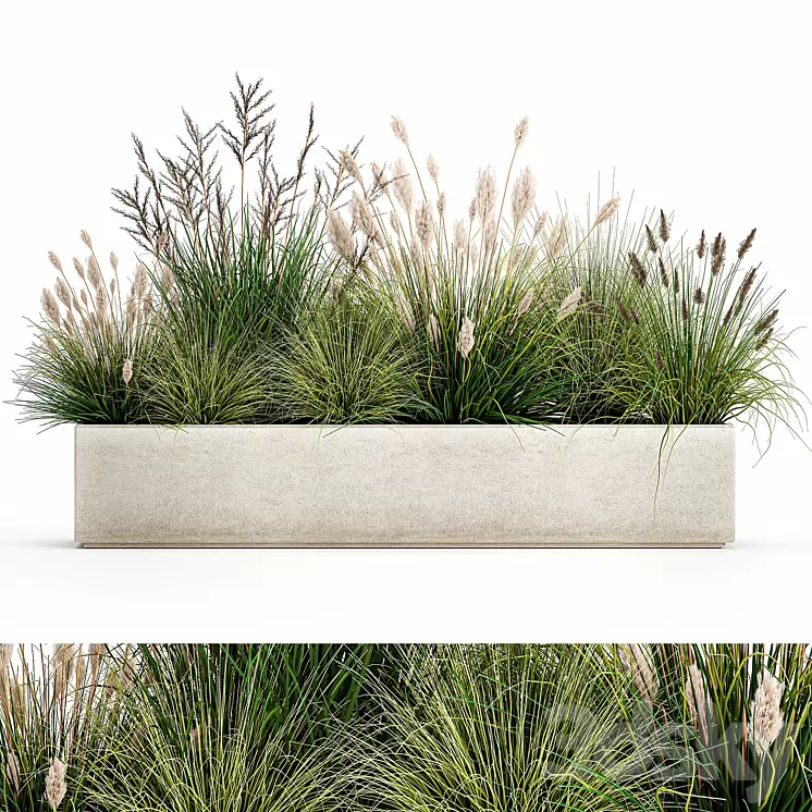 Collection of plants in a pot with pampas grass reeds flowerbed bushes landscaping. Set 1076. 3D Model Free Download Collection of plants in a pot with pampas grass reeds flowerbed bushes landscaping. Set 1076. 3D Model Free Download