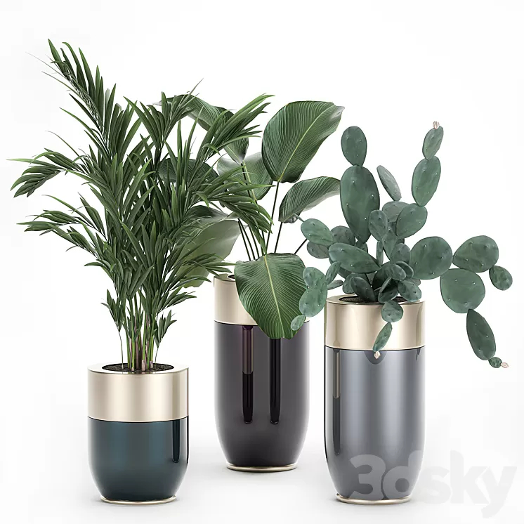 Collection of plants in beautiful Godwin Longhi pots with Palm Cactus Calathea lutea Hovea Prickly pear . Set 704. 3D Model Collection of plants in beautiful Godwin Longhi pots with Palm Cactus Calathea lutea Hovea Prickly pear . Set 704. 3D Model