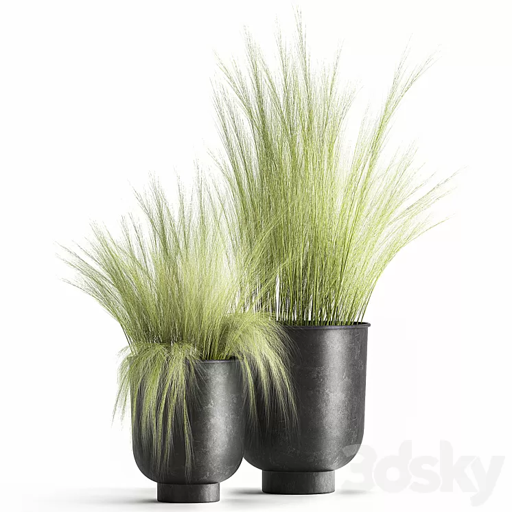 Collection of plants in black metal pots with bush grass grass. Set 1004. 3D Model