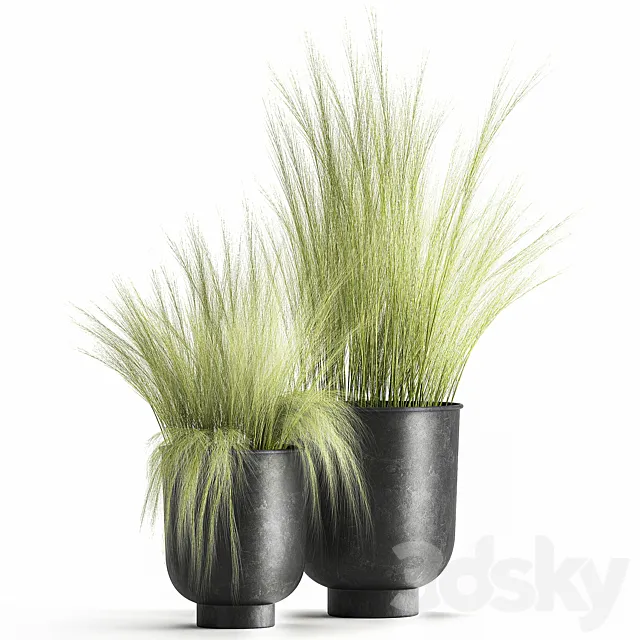 Collection of plants in black metal pots with bush grass grass. Set 1004. 3DModel Collection of plants in black metal pots with bush grass grass. Set 1004. 3DModel