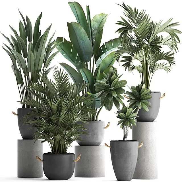 Collection of plants in modern concrete outdoor pots Set 402 3D Model