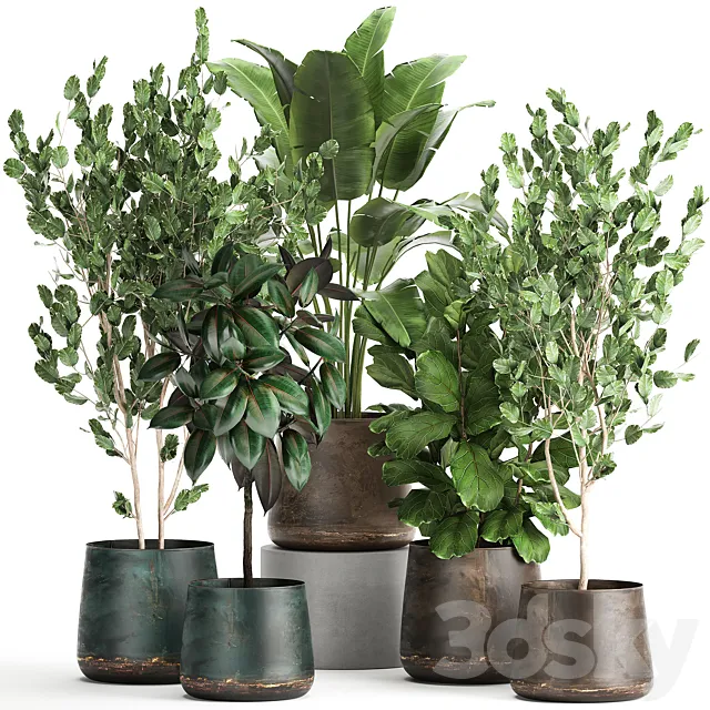 Collection of plants in outdoor metal rusty pots Tree Banana palm Ficus lyrata. Set 942. 3D Model Collection of plants in outdoor metal rusty pots Tree Banana palm Ficus lyrata. Set 942. 3D Model