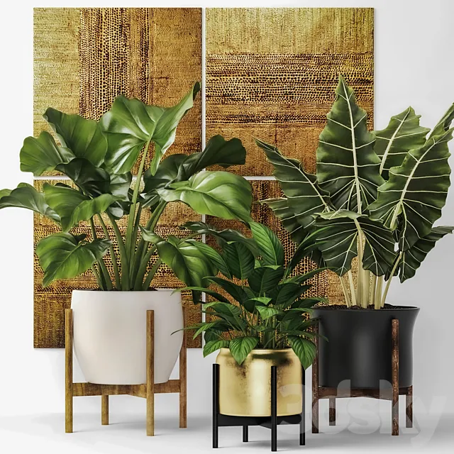 Collection of plants in pots 7. Flower pot bush flowerpot interior indoor alocasia luxury gold paintings abstraction luxury 3D Model Collection of plants in pots 7. Flower pot bush flowerpot interior indoor alocasia luxury gold paintings abstraction luxury 3D Model