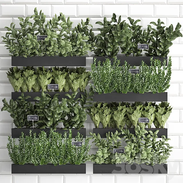 Collection of plants kitchen garden vegetable garden in wooden wall pots garden bed with white tiles apron with vegetables rosemary basil lettuce Vertical gardening. Set 38. 3D Model Collection of plants kitchen garden vegetable garden in wooden wall pots garden bed with white tiles apron with vegetables rosemary basil lettuce Vertical gardening. Set 38. 3D Model