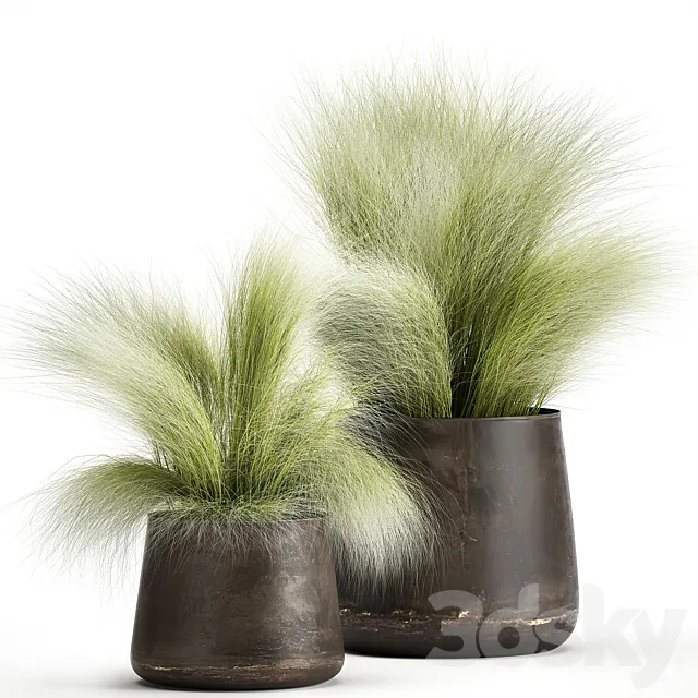Collection of plants of fluffy bushes in outdoor pots Grass grass hummock. Set 908. 3D Model