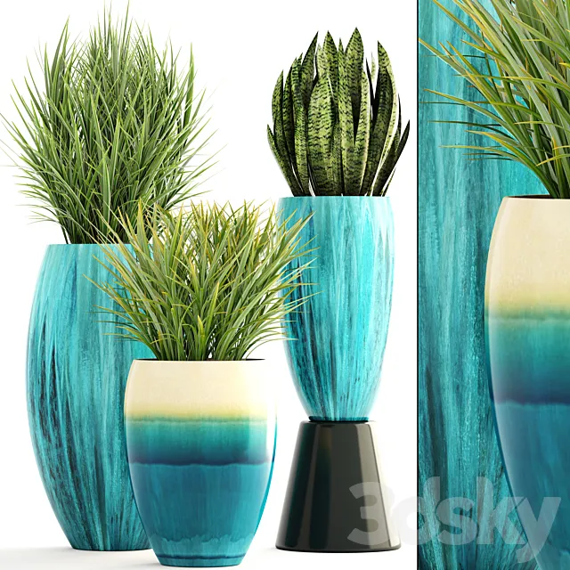 Collection of plants. Pot flowerpot street decor landscape design bush grass sansevieria turquoise interior decorative Chlorophytum 3D Model Collection of plants. Pot flowerpot street decor landscape design bush grass sansevieria turquoise interior decorative Chlorophytum 3D Model