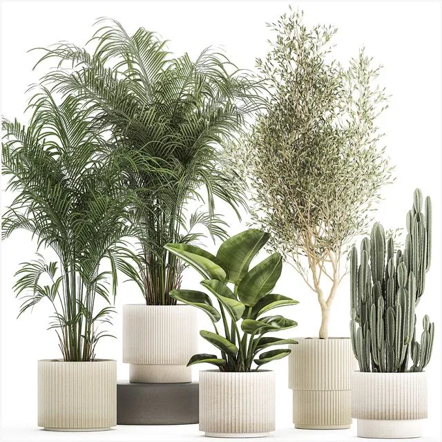 Collection of plants Set 1368 3D Model