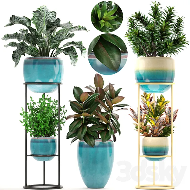 Collection of plants. Shelf with flowers. flower stand. pot. ficus. croton. alocasia. flowerpot. dracaena 3DModel Collection of plants. Shelf with flowers. flower stand. pot. ficus. croton. alocasia. flowerpot. dracaena 3DModel