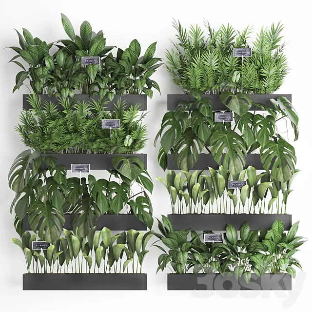 Collection of plants vertical gardening in wooden wall-mounted black pots shelves with monstera areca palm bush. Set 41. 3D Model Collection of plants vertical gardening in wooden wall-mounted black pots shelves with monstera areca palm bush. Set 41. 3D Model