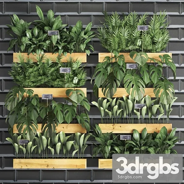 Collection of plants vertical gardening in wooden wall pots shelves with monstera, areca palm, bush, black tile. set 40. Collection of plants vertical gardening in wooden wall pots shelves with monstera, areca palm, bush, black tile. set 40.