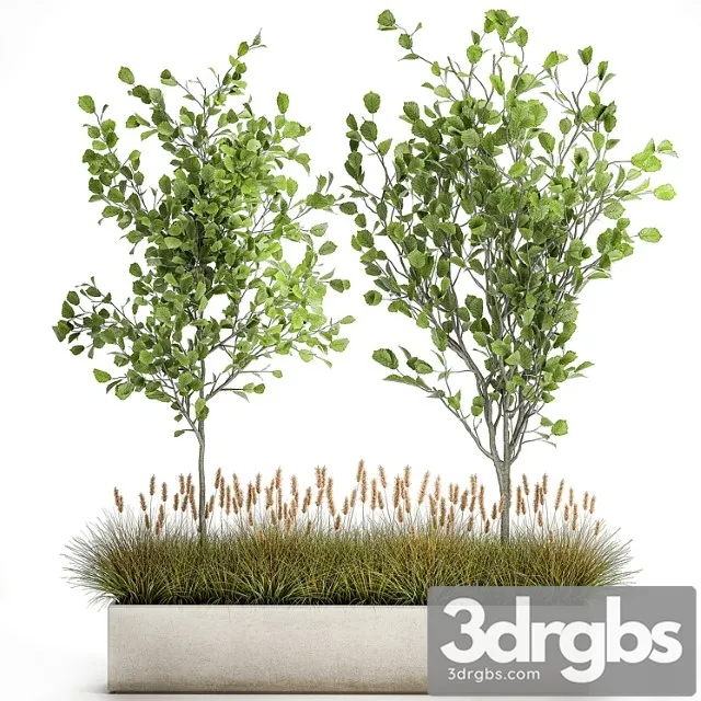 Collection of Potted Plants with Trees Hazel Linden and Reed Bushes 1066 3D Model Download