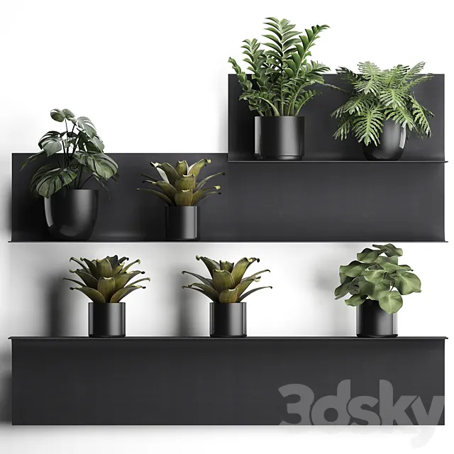 Collection of small plants black metal shelf with flowers in pots with monstera Zamiokulkas Chlorophytum Philodendron bromelia loft. Set 49. 3D Model
