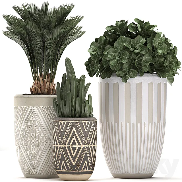 Collection of small plants in ethnic aged pots with Cactus Date palm flower. Set 476. 3D Model Collection of small plants in ethnic aged pots with Cactus Date palm flower. Set 476. 3D Model
