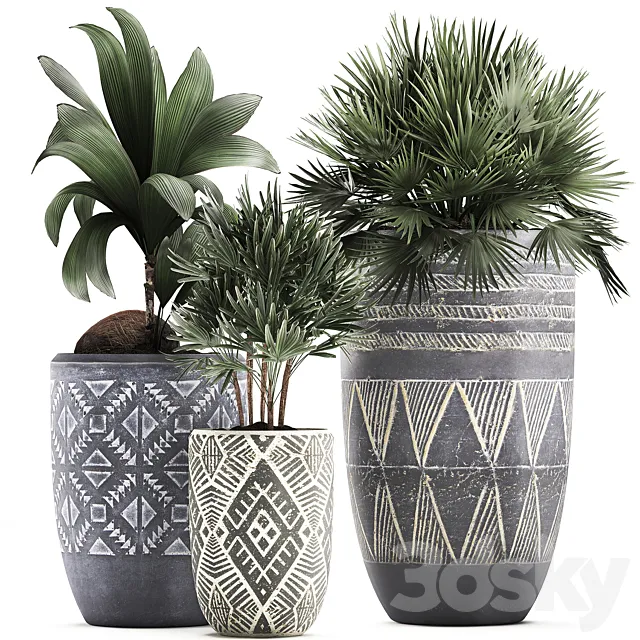Collection of small plants in ethnic aged pots with coconut nutsifera fan palm Rhapis . Set 475. 3D Model Collection of small plants in ethnic aged pots with coconut nutsifera fan palm Rhapis . Set 475. 3D Model