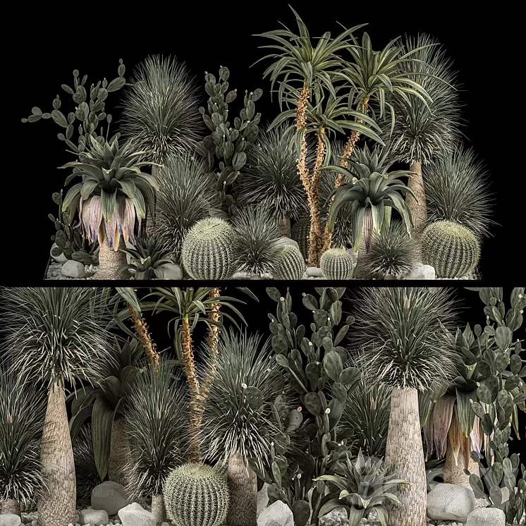 Collection of tropical plants of the desert 1117. cactus yucca prickly pear thickets bushes garden dracaena 3D Model Free Download Collection of tropical plants of the desert 1117. cactus yucca prickly pear thickets bushes garden dracaena 3D Model Free Download