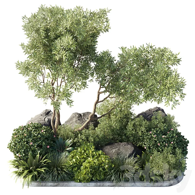 Collection outdoor indoor 62 pot plant & tree & bush & fern the garden pot 3DModel