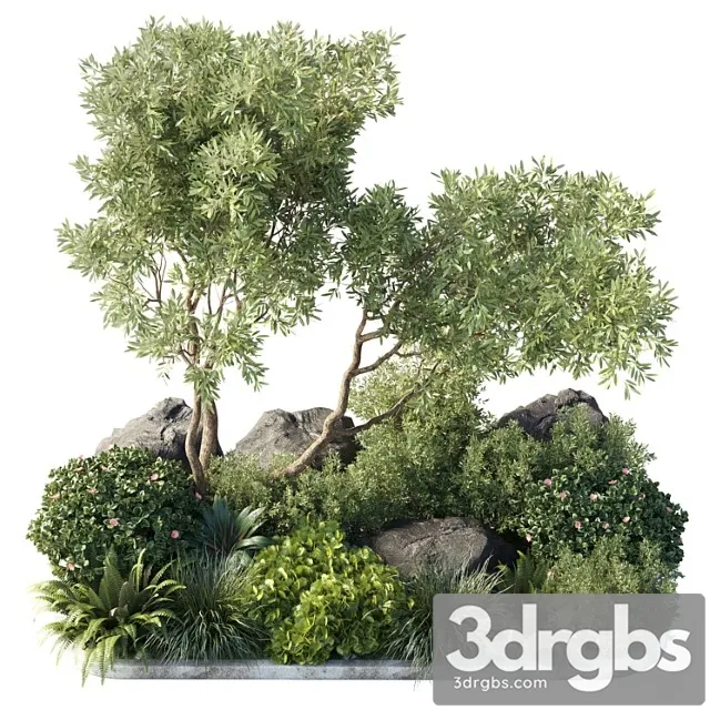 Collection outdoor indoor 62 pot plant & tree & bush & fern the garden pot Collection outdoor indoor 62 pot plant & tree & bush & fern the garden pot