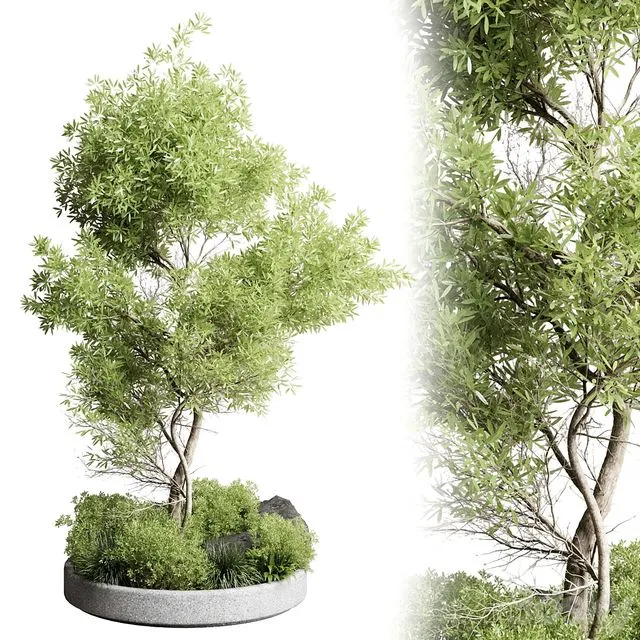 Collection outdoor indoor 85 pot plant & tree & bush 3D Model Collection outdoor indoor 85 pot plant & tree & bush 3D Model