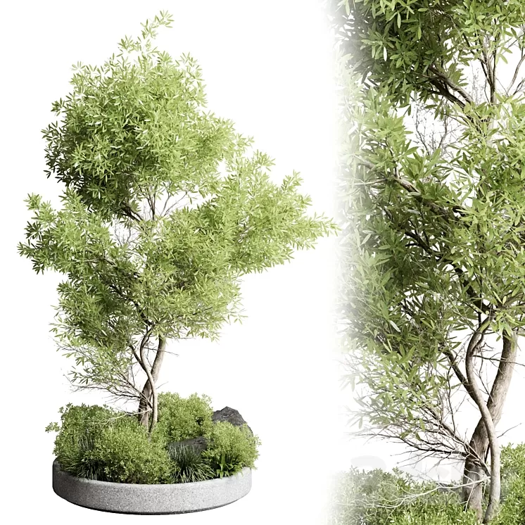 Collection outdoor indoor 85 pot plant & tree & bush 3D Model Free Download