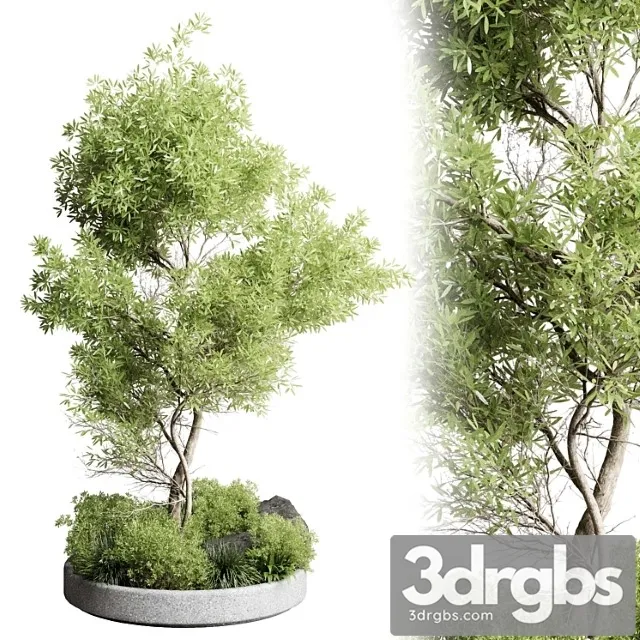 Collection outdoor indoor 85 pot plant & tree & bush Collection outdoor indoor 85 pot plant & tree & bush