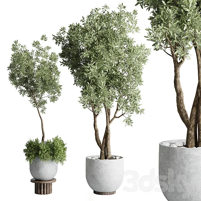 Collection Outdoor Indoor plant 52 concrete dirt vase pot tree 3DModel