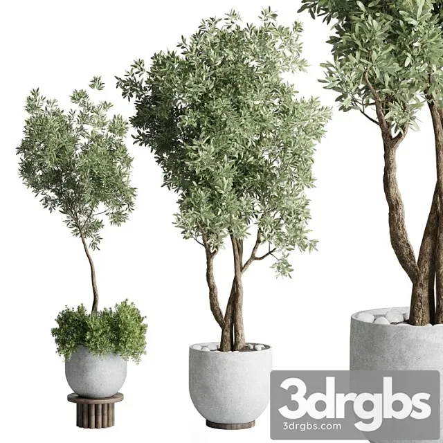 Collection outdoor indoor plant 52 concrete dirt vase pot tree Collection outdoor indoor plant 52 concrete dirt vase pot tree