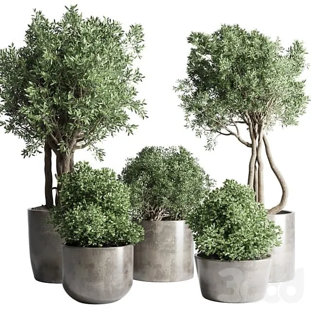 Collection Outdoor Indoor plant 53 concrete dirt vase pot tree bush 3D Model Collection Outdoor Indoor plant 53 concrete dirt vase pot tree bush 3D Model